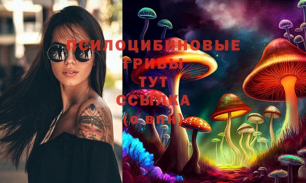 mdpv Алзамай