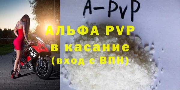 гашик Дмитриев