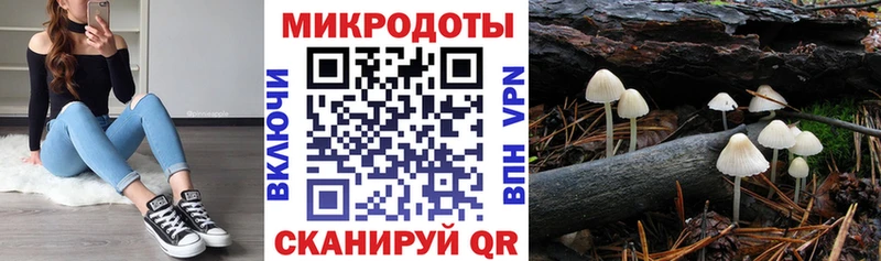 Псилоцибиновые грибы мухоморы  Югорск 