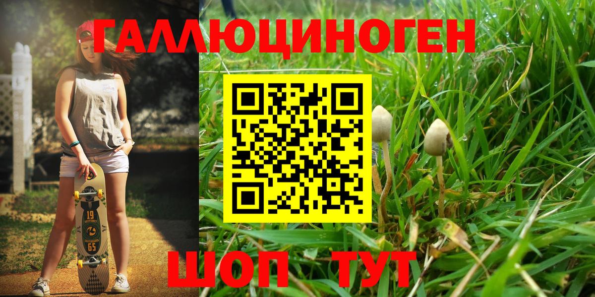 Галлюциногенные грибы мухоморы Югорск
